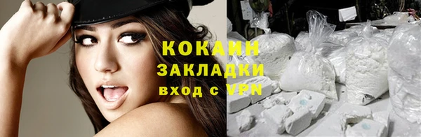молекула духа Гусев