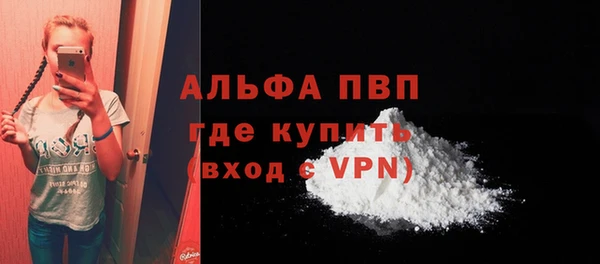 прущие крисы Тында