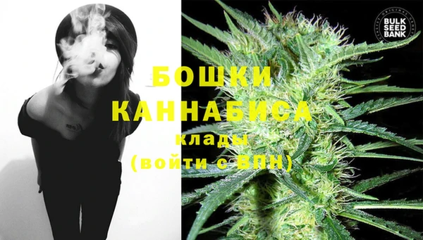 молекула духа Гусев