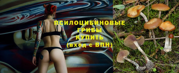 молекула духа Гусев