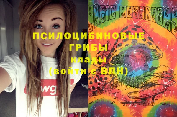 молекула духа Гусев