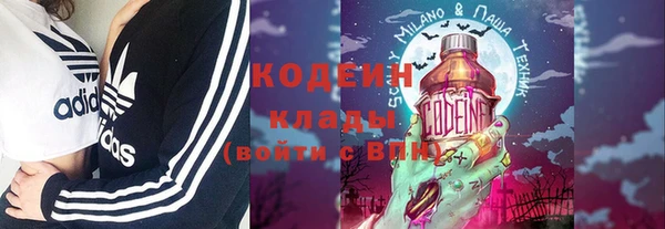 молекула духа Гусев